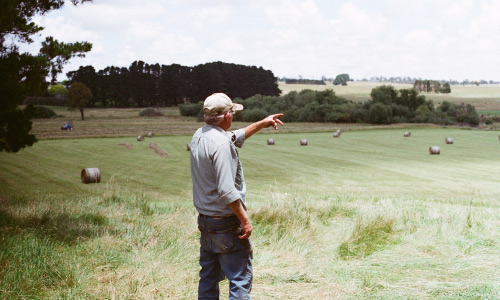 lime newry for farms